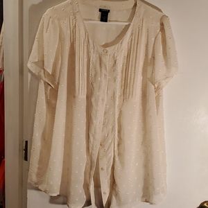 Sheer ivory/cream blouse